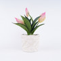 Modern White Ceramic Plant Pot for Indoor Home