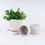 Modern White Ceramic Plant Pot for Indoor Home