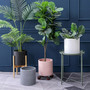 Nordic Marble White, Black, Gray and Pink Ceramic Plant Pots for Outdoor Use