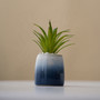 Nordic Style Indoor Blue and Red Ceramic Plant Pot for Succulents