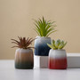 Nordic Style Indoor Blue and Red Ceramic Plant Pot for Succulents