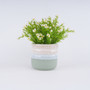 Simple Nordic Green Ceramic Plant Pot for Home Decor