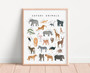 Safari animals nursery canvas wall art, alphabet A–Z safari creatures in bold colors, educational playroom decor for kids
