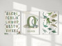 Dinosaur alphabet canvas wall art, custom name, colorful playful A–Z design for boys’ nursery room educational decor.
