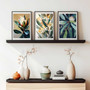 Australian Floral Abstract Botanical Wall Art Canvas Prints For Living Room Or Office