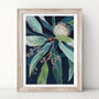 Australian Floral Abstract Botanical Wall Art Canvas Prints For Living Room Or Office