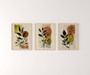 Botanical Wall Art Set For Home Decor - Modern Boho Canvas Prints With Nature Leaves For Housewarming