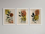 Botanical Wall Art Set For Home Decor - Modern Boho Canvas Prints With Nature Leaves For Housewarming