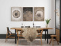 Neutral Tree Ring Canvas For Living Room – Rustic Abstract Art Prints Set Of 3 For Nature Lovers