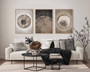 Neutral Tree Ring Canvas For Living Room – Rustic Abstract Art Prints Set Of 3 For Nature Lovers