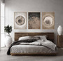Neutral Tree Ring Canvas For Living Room – Rustic Abstract Art Prints Set Of 3 For Nature Lovers