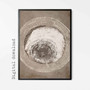 Neutral Tree Ring Canvas For Living Room – Rustic Abstract Art Prints Set Of 3 For Nature Lovers