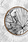 Nordic Tree Ring Canvas For Living Room - Modern Neutral Art Set Of 3
