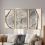 Nature-Inspired Tree Ring Canvas Set - 3 Neutral Prints For Living Room