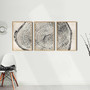 Nature-Inspired Tree Ring Canvas Set - 3 Neutral Prints For Living Room