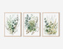 Modern Botanical Wall Art Canvas Trio - Sage Green Wildflowers, Boho Floral Prints For Living Room DéCor