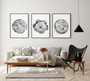 Tree Ring Canvas Prints Set - Stylish Black & White Wall DéCor For Living Room