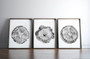 Tree Ring Canvas Prints Set - Stylish Black & White Wall DéCor For Living Room