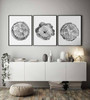 Tree Ring Canvas Prints Set - Stylish Black & White Wall DéCor For Living Room