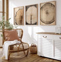 Rustic Tree Ring Canvas Art - Vintage Wood Design For Living Room Decor