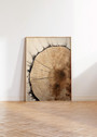 Rustic Tree Ring Canvas Art - Vintage Wood Design For Living Room Decor