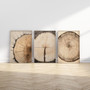 Rustic Tree Ring Canvas Art - Vintage Wood Design For Living Room Decor