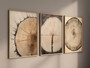 Rustic Tree Ring Canvas Art - Vintage Wood Design For Living Room Decor