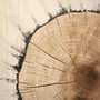 Rustic Tree Ring Canvas Art - Vintage Wood Design For Living Room Decor
