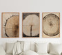 Rustic Tree Ring Canvas Art - Vintage Wood Design For Living Room Decor
