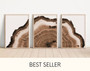 Tree Ring Canvas Art Set For Man Cave - Rustic 3-Piece Wall Decor