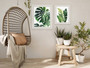 Tropical Botanical Wall Art Set - Monstera & Palm Canvas For Living Room Decor
