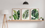 Tropical Botanical Wall Art Set - Monstera & Palm Canvas For Living Room Decor