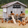 Personalized Metal Animal Farm Sign For Chicken Coop - Thoughtful Gift For Mom Or Grandma's Farmhouse Decor