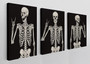 Gothic Skull Skeleton Canvas Wall Art - Rock And Roll Design Set For Bedroom Decor - Skeleton Fans And Halloween Gift