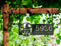 Custom Halloween Metal Address Sign For Outdoor Decor - Spooky Yard Plaque With Witch Theme