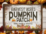 Rustic Pumpkin Patch Metal Sign - Farmhouse Fall Wall Art For Autumn Decor, Perfect For Living Room Or Kitchen