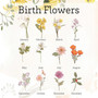 Mother’s Day Gift for Grandma – Custom Birth Flower Pot with Family Names, Garden Gift for Mom, Grandma, or Nanny