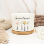 Mother’s Day Gift for Grandma – Custom Birth Flower Pot with Family Names, Garden Gift for Mom, Grandma, or Nanny