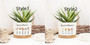 Mother’s Day Gift for Grandma – Custom Birth Flower Pot with Family Names, Garden Gift for Mom, Grandma, or Nanny
