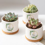 50 Years Wreath Personalized Plant Pot – Custom Ceramic Flower Planter with Name & Date for Wedding Anniversary Gift