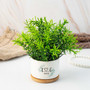 Custom Couple's Name Ceramic Plant Pot - Thoughtful Wedding Or Anniversary Gift For Newlyweds
