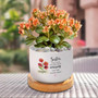 Sentimental Custom Ceramic Plant Pot With Birth Month Flower - Ideal Mother's Day Gift For Sister