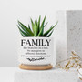 Family Like Branches on a Tree Ceramic Plant Pot – Inspirational Quote Planter with Tray, Succulent Pot Gift for Mom Dad or Siblings
