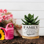 Family Like Branches on a Tree Ceramic Plant Pot – Inspirational Quote Planter with Tray, Succulent Pot Gift for Mom Dad or Siblings