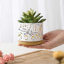Thoughtful Family Tree Plant Pot For Mom's Mini Garden - Personalized Mother's Day Gift
