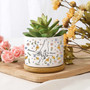 Thoughtful Family Tree Plant Pot For Mom's Mini Garden - Personalized Mother's Day Gift