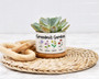Heartfelt Grandma's Garden Ceramic Plant Pot - Custom Birth Flower Succulent Planter For Mother's Day