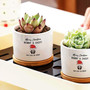 Merry Christmas Mommy and Daddy Ceramic Plant Pot – Baby Announcement Succulent Planter with “See You in 2025” Message