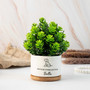 Personalized Pet Memorial Ceramic Plant Pot For Pet Lover - Sympathy Gift With Dog Paw Design