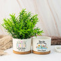 Personalized Thank You Teacher Ceramic Plant Pot - Touching End Of Year Appreciation Gift For Classroom DéCor